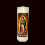 Our Lady of Guadalupe Case(12)